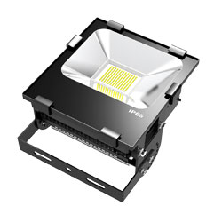 LED Flood Light b series 100w 250x250