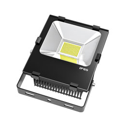 LED Flood Light b series 50w 250x250