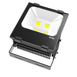 LED Flood Light b series 100w 250x250