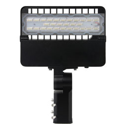 Adjustable Mudule LED Street Light 100w
